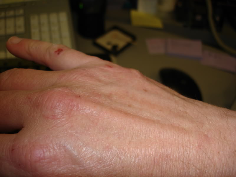 Name:  hand2.jpg
Views: 11
Size:  44.3 KB